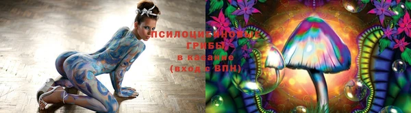 ECSTASY Арсеньев