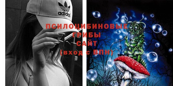 ECSTASY Арсеньев
