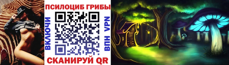 Купить закладки  Каргат  Псилоцибиновые грибы Cubensis 